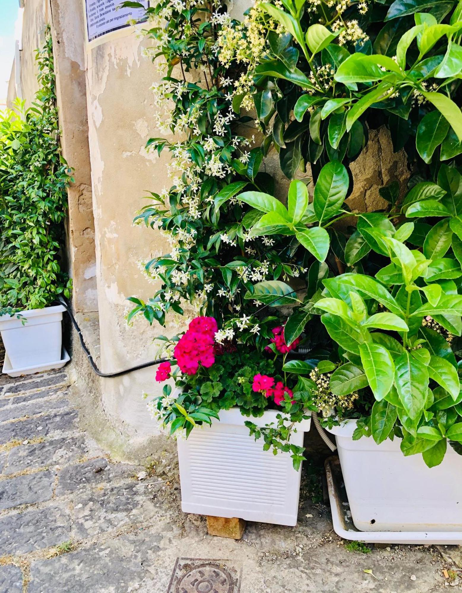 A Casa Da Anita Βίλα Palazzolo Acreide Εξωτερικό φωτογραφία